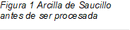 Figura 2 Arcilla de Saucillo antes de ser procesada