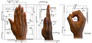 HanthropometricHandMeasurements