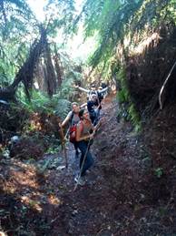 IMG-20210206-WA0003
