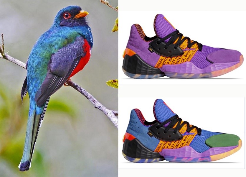 Cromáticas Biomiméticas, El color en la Naturaleza y su Aplicación al Diseño. 